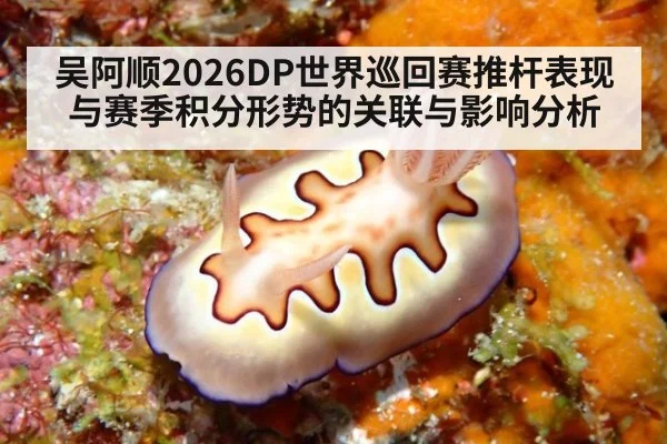 吴阿顺2026DP世界巡回赛推杆表现与赛季积分形势的关联与影响分析